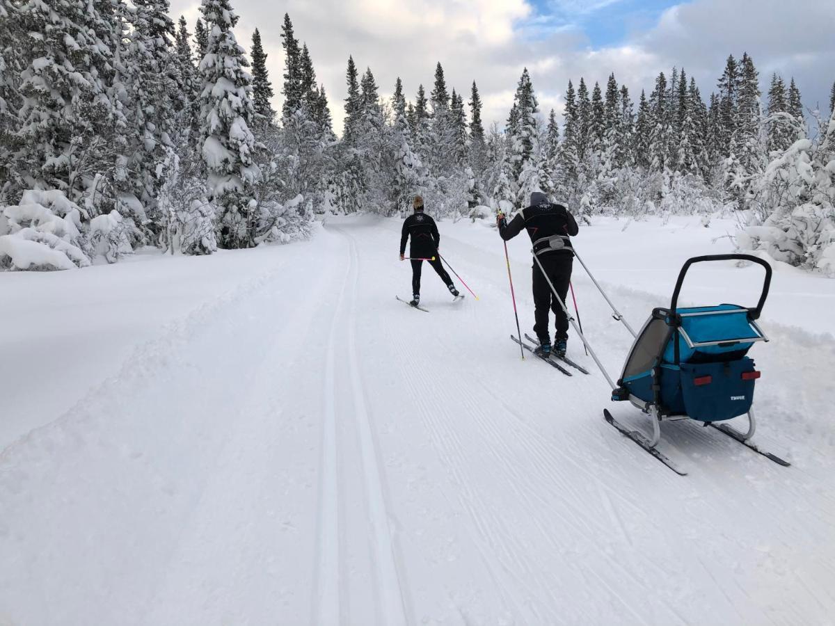 Karolinen Stugor & Laegenheter Åre Екстериор снимка